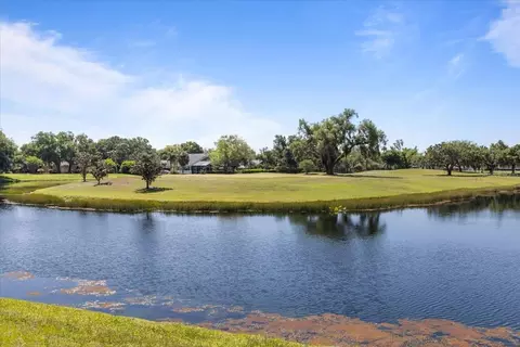 View/Area - 3428 Brookridge Ln, Parrish, FL 34219 photo 12 of 14