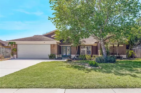 3006 Sprawling Oaks Pl, Valrico, FL 33596