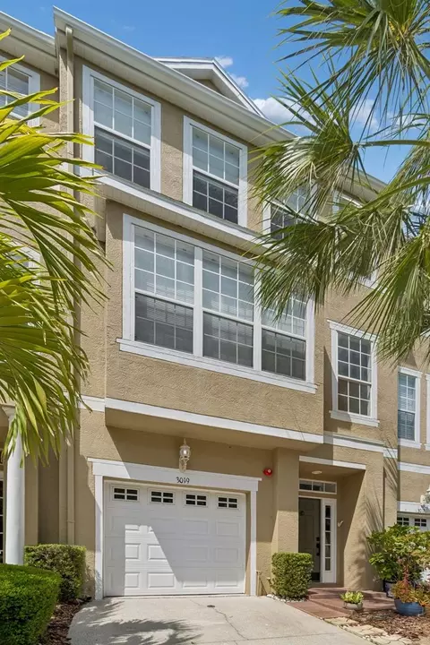 3019 Bayshore Pointe Dr, Tampa, FL 33611