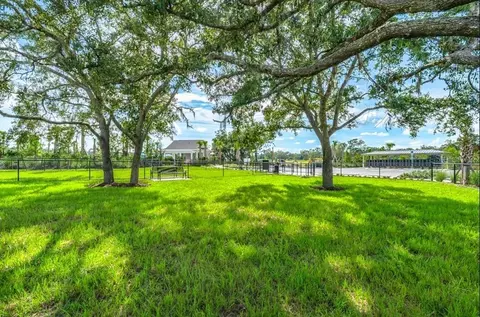 View/Area - 12219 Tempest Ln, Hudson, FL 34669 photo 6 of 6