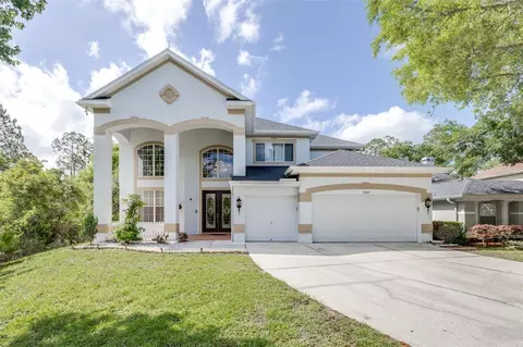 10102 Deercliff Dr, Tampa, FL 33647