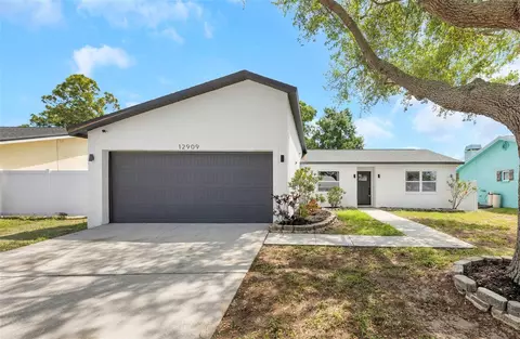 12909 Pineway Dr, Largo, FL 33773
