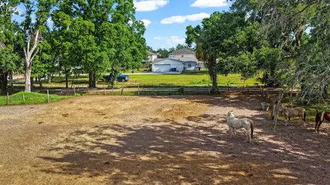 5614 Watson Rd, Riverview, FL 33578 photo 4