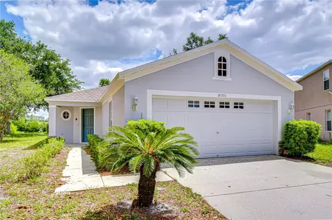 18003 Birdwater Dr, Tampa, FL 33647