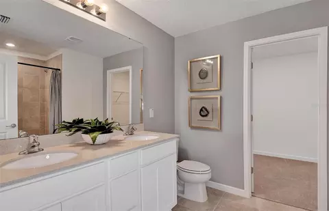Bath - 10406 Hidden Banks Gln, Parrish, FL 34219 photo 1 of 3