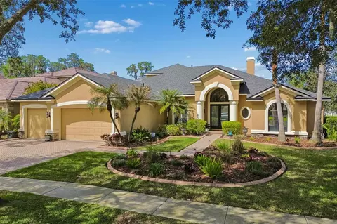 21227 Sky Vista Dr, Land O Lakes, FL 34637