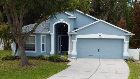 6323 Open Pasture Ct, Wesley Chapel, FL 33545