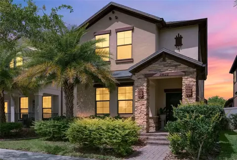 28622 Tranquil Lake Cir, Wesley Chapel, FL 33543