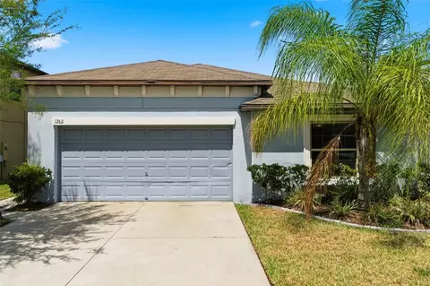 12611 Lemon Pepper Dr, Riverview, FL 33578