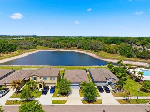 View/Area - 12611 Lemon Pepper Dr, Riverview, FL 33578 photo 3 of 6