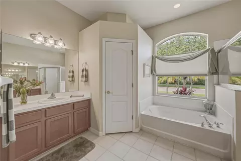 Bath - 1542 Swamp Rose Ln, Trinity, FL 34655 photo 3 of 9