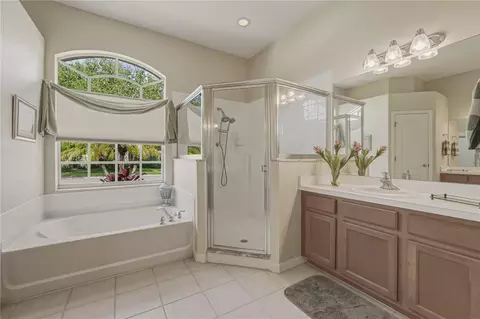 Bath - 1542 Swamp Rose Ln, Trinity, FL 34655 photo 4 of 9