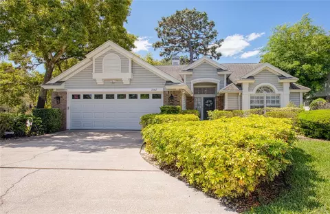 2182 Trevor Rd, Palm Harbor, FL 34683