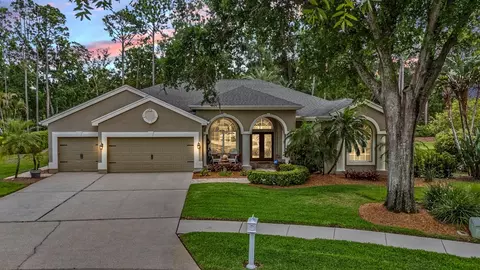 3596 Florian Ter, Palm Harbor, FL 34685
