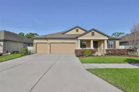 11014 Brahman Ranch Cir, Riverview, FL 33578