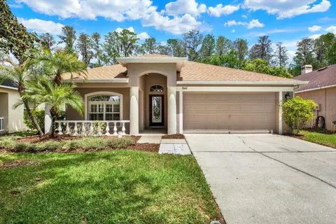 7642 Citrus Blossom Dr, Land O Lakes, FL 34637