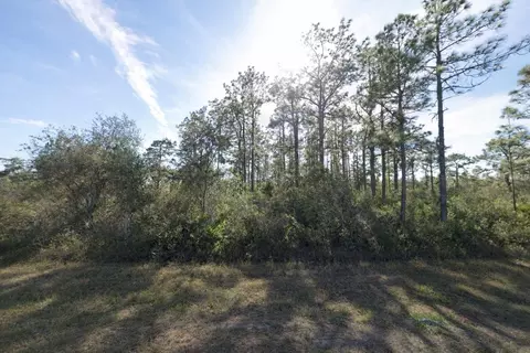 Gaillardia Drive, Indian Lake Estates, FL 33855
