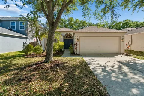 8311 Torrington Ave, Tampa, FL 33647