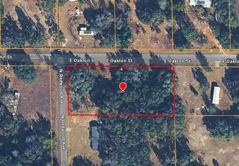 5363 N Redwood Ave, Hernando, FL 34442