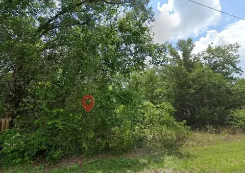 5363 N Redwood Ave, Hernando, FL 34442 photo 2