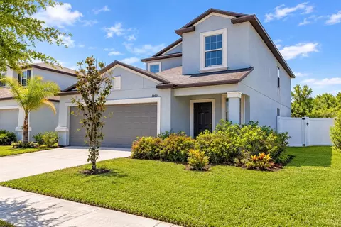 3703 Globe Thistle Dr, Tampa, FL 33619