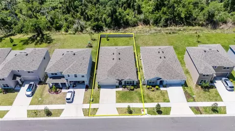 View/Area - 3255 Silver Date Dr, Wimauma, FL 33598 photo 4 of 29