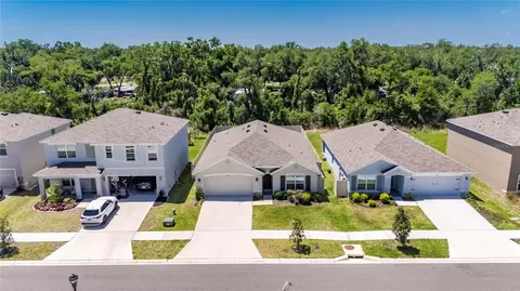 View/Area - 3255 Silver Date Dr, Wimauma, FL 33598 photo 5 of 29