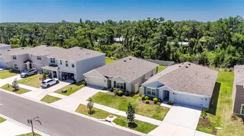 View/Area - 3255 Silver Date Dr, Wimauma, FL 33598 photo 6 of 29