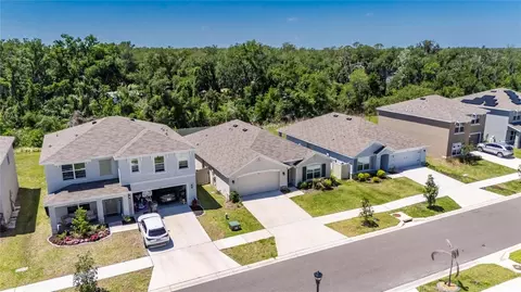 View/Area - 3255 Silver Date Dr, Wimauma, FL 33598 photo 7 of 29