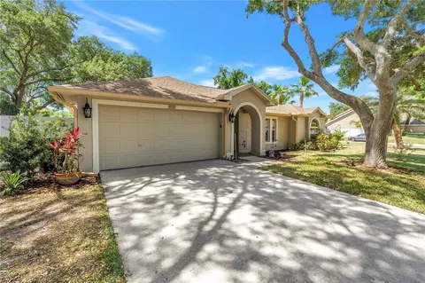 5810 Bitter Orange Ave, Tampa, FL 33625