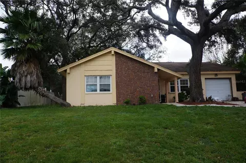 1156 Macfarlane Ave, Spring Hill, FL 34608