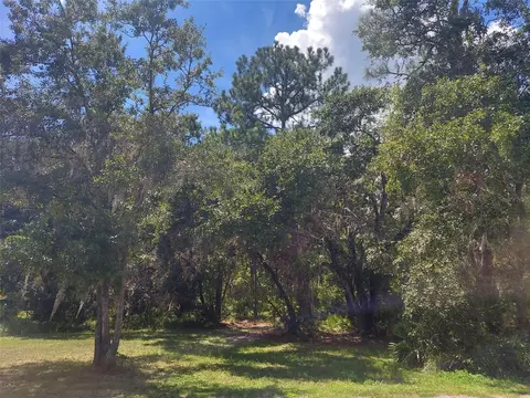 0 Finally Rd, Plant City, FL 33565