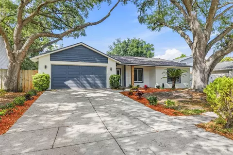 12929 Rain Forest St, Temple Terrace, FL 33617