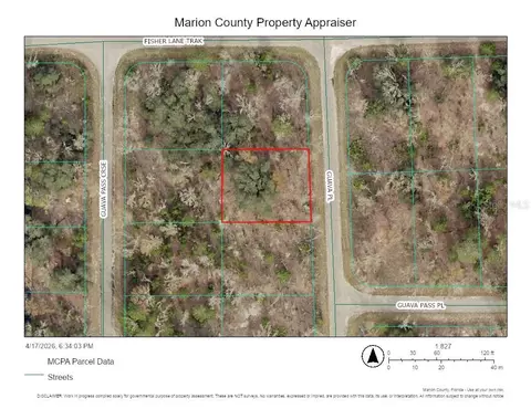 000 Guava Pl, Ocklawaha, FL 32179