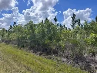 115 Japonica Ave, Indian Lake Estates, FL 33855