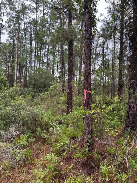 3518 62nd St W, Lehigh Acres, FL 33971