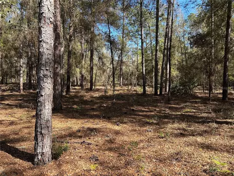 lot23 SW 181st Cir, Dunnellon, FL 34432
