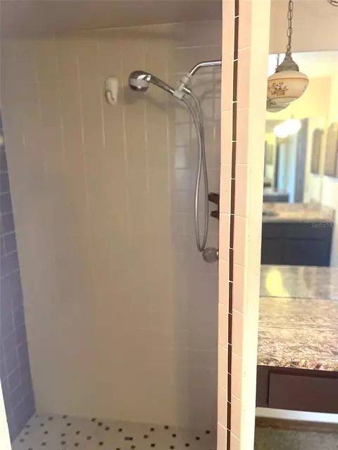 Bath - 5526 Cactus Cir, Spring Hill, FL 34606 photo 2 of 4