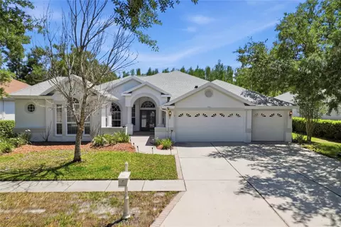 10206 Shadow Branch Dr, Tampa, FL 33647