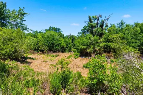 19084 Red Bird Ln #LOT 5, Lithia, FL 33547 photo 10
