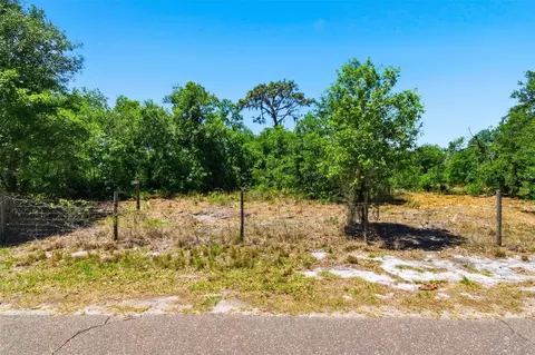 19084 Red Bird Ln #LOT 2, Lithia, FL 33547 photo 9