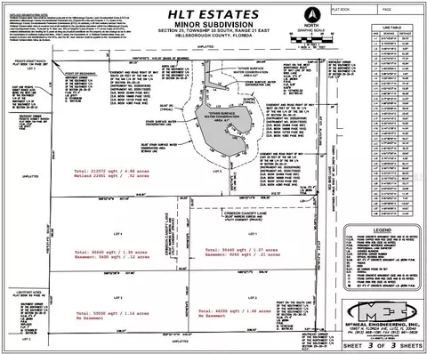 19084 Red Bird Ln #LOT 2, Lithia, FL 33547 photo 3