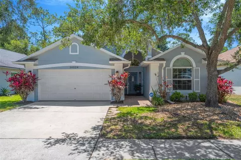 14524 Weeping Elm Dr, Tampa, FL 33626