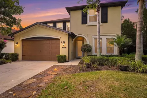 8005 Cypress Crossing Ct, Tampa, FL 33647