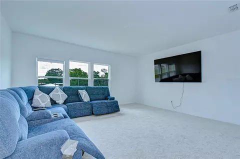 Living - 12105 Orchid Ash St, Riverview, FL 33579 photo 5 of 5