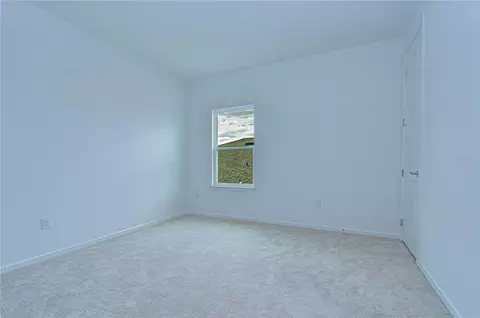 Bedroom - 12105 Orchid Ash St, Riverview, FL 33579 photo 6 of 10