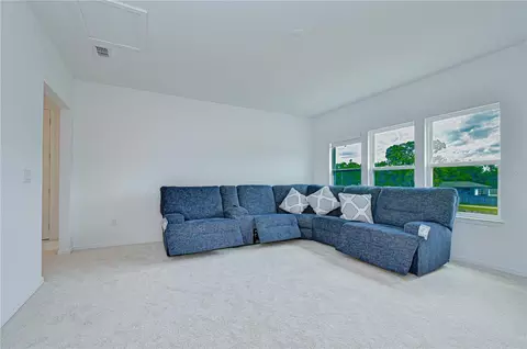 Other - 12105 Orchid Ash St, Riverview, FL 33579 photo 6 of 9