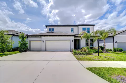 Exterior - 12105 Orchid Ash St, Riverview, FL 33579 photo 6 of 6
