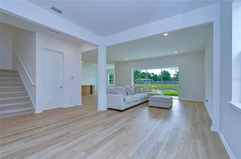 Living - 12105 Orchid Ash St, Riverview, FL 33579 photo 3 of 5