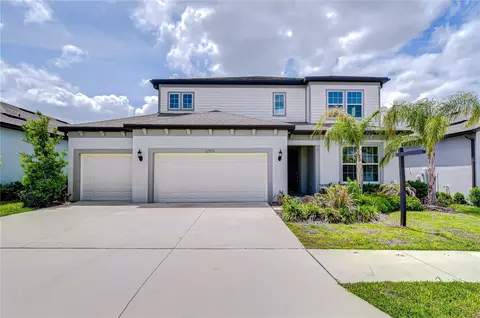 12105 Orchid Ash St, Riverview, FL 33579